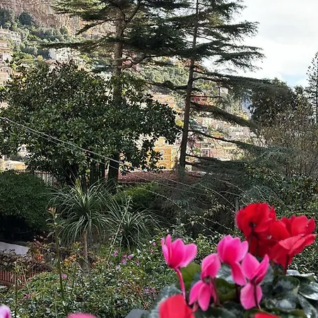 Leonardo In The Heart Of 波西塔諾