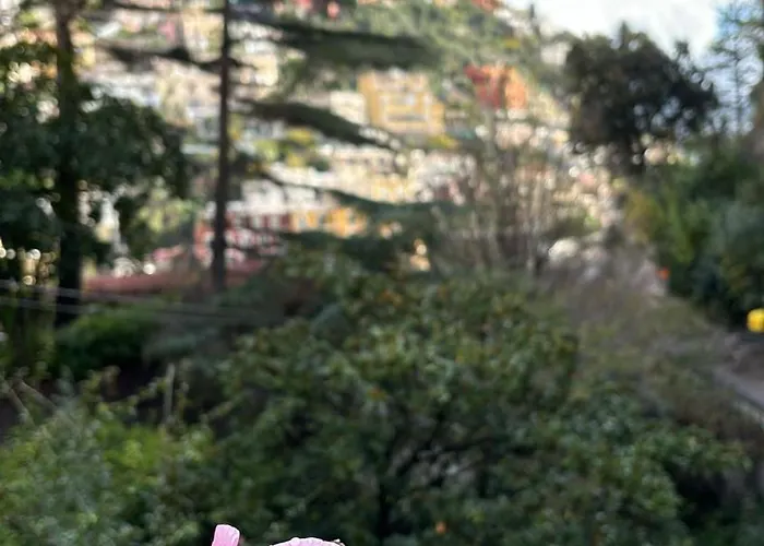 Casa vacanze Leonardo In The Heart Of Positano