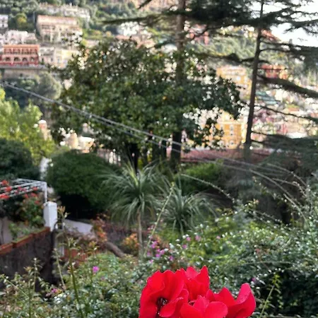 Leonardo In The Heart Of * Positano